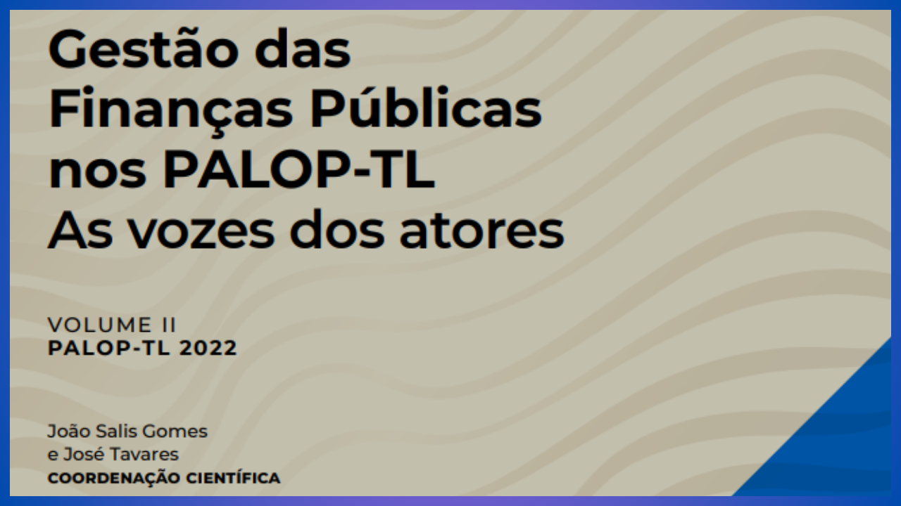 Public Sector Auditing: digital tools to increase effiency and effectiveness